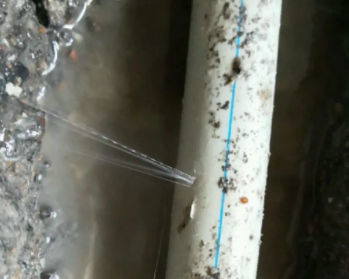 秭归卫生间测漏水多少钱