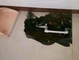 秭归卫生间测漏水多少钱